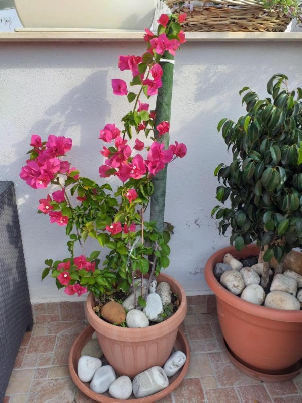 B&B La Maison Del Borgo Antico image 23